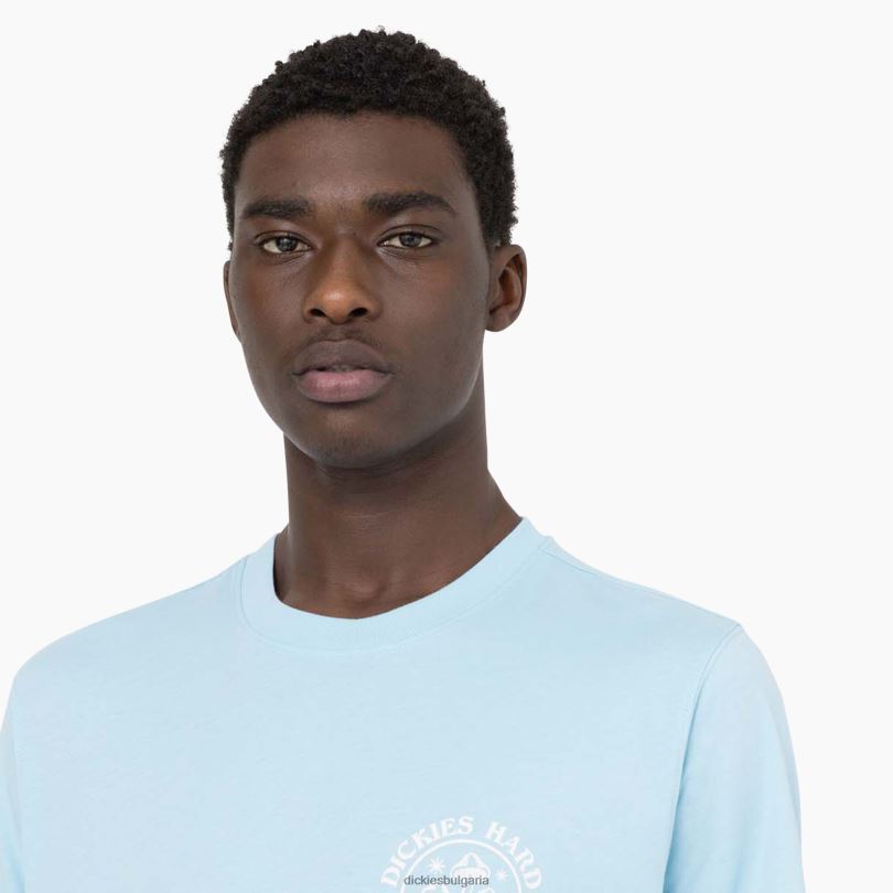 мъже Dickies тениска с къс ръкав bayside gardens небесно синьо (su9) облекло R2PH8585