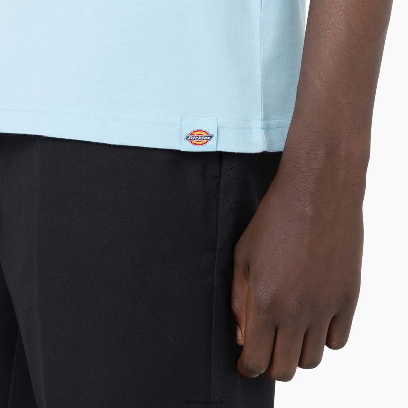 мъже Dickies тениска с къс ръкав bayside gardens небесно синьо (su9) облекло R2PH8585