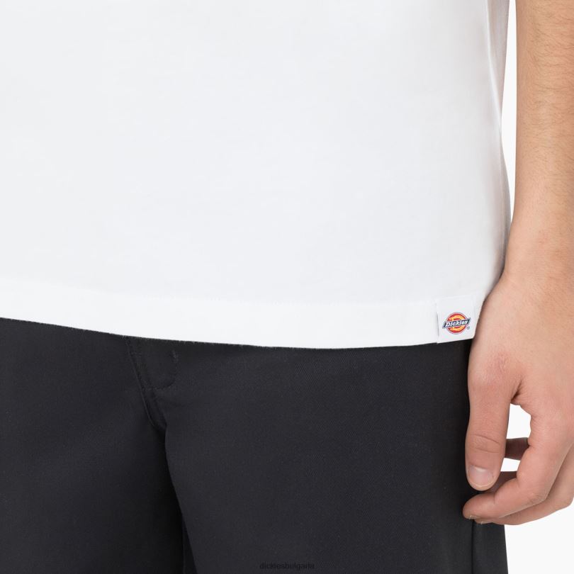 мъже Dickies тениска с къс ръкав bayside gardens бяло (wh) облекло R2PH8586