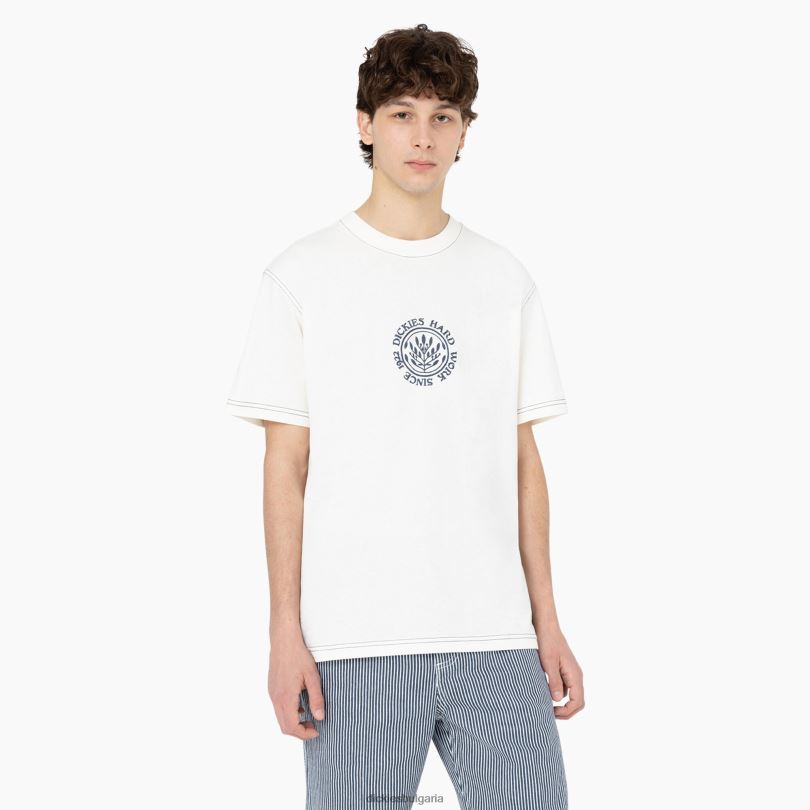 мъже Dickies тениска с къс ръкав beavertown облак (cl9) облекло R2PH8873