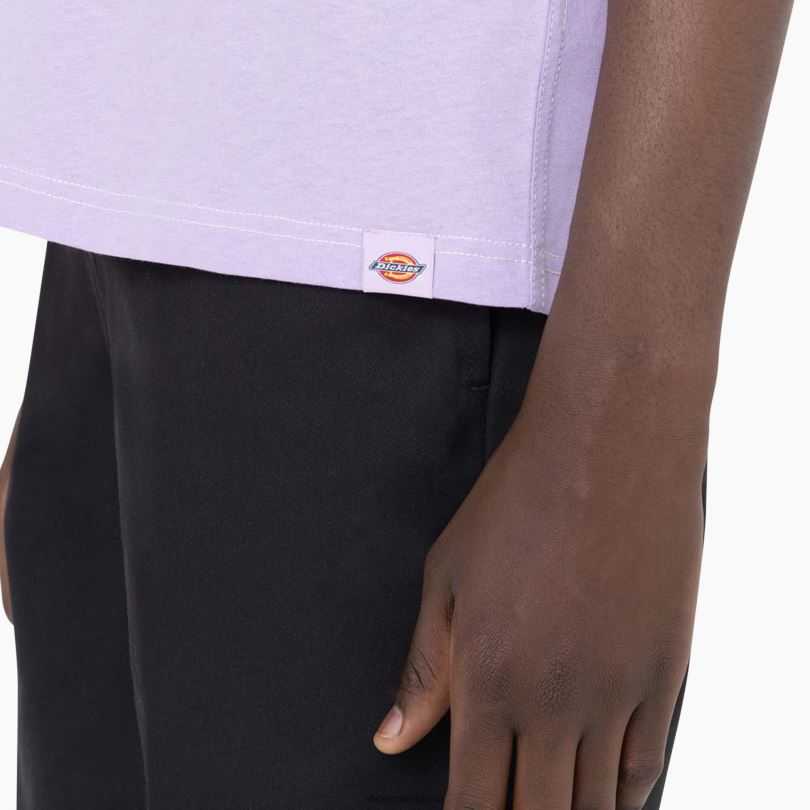 мъже Dickies тениска с къс ръкав beavertown лилава роза (ur2) облекло R2PH8875