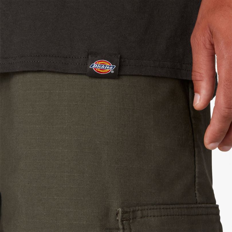 мъже Dickies тениска със скейтборд и графична тениска черно (bk) облекло R2PH8833