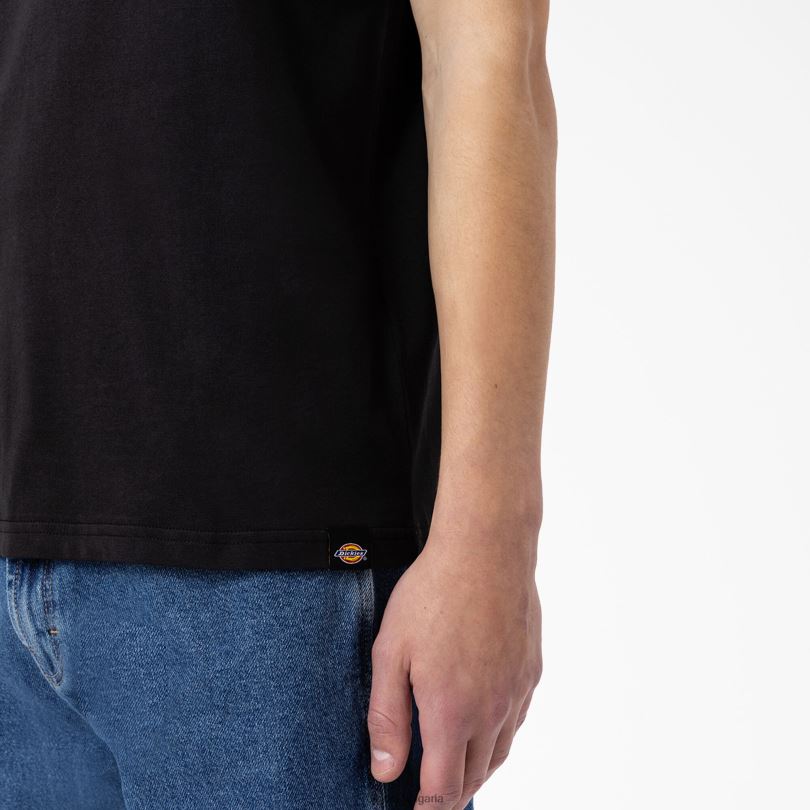 мъже Dickies графична тениска camden box черно (bk) облекло R2PH8886