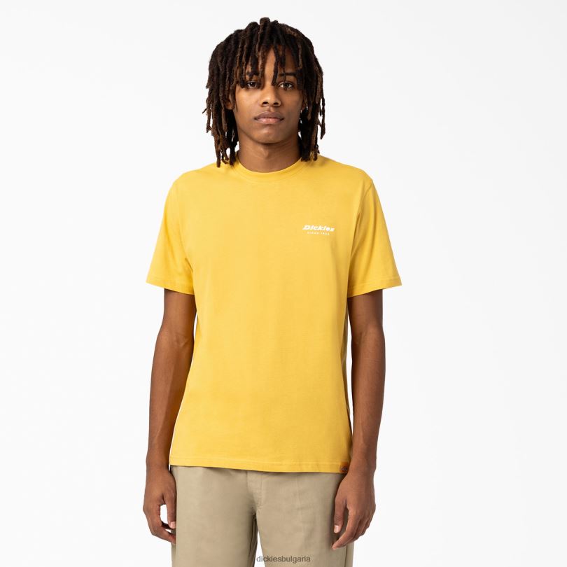 мъже Dickies графична тениска camden box реколта злато (gv) облекло R2PH8887