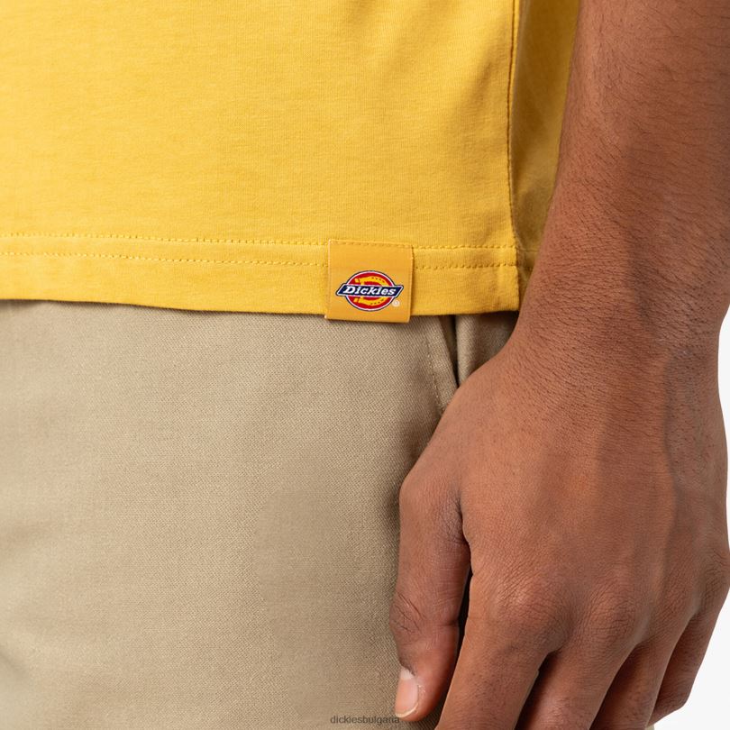 мъже Dickies графична тениска camden box реколта злато (gv) облекло R2PH8887
