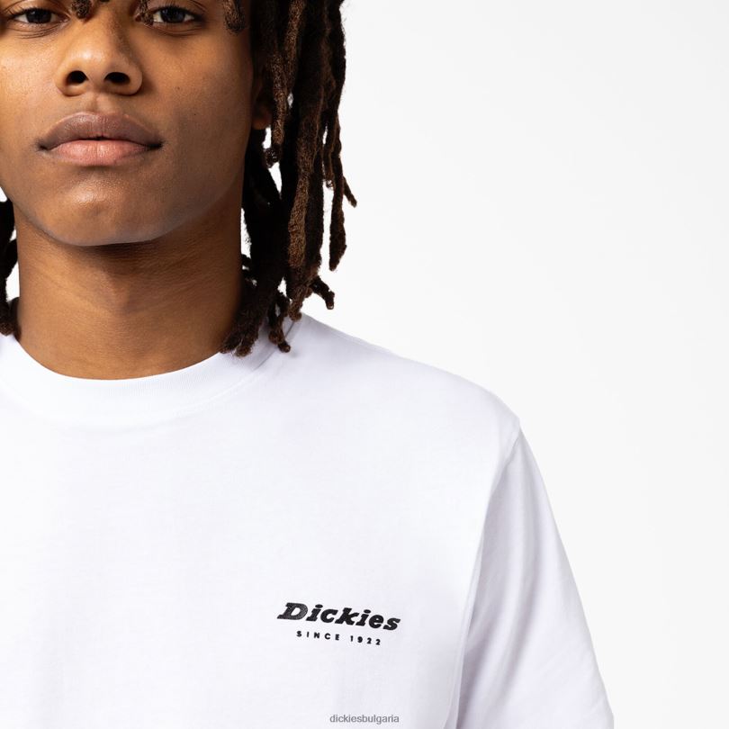 мъже Dickies графична тениска camden box бяло (wh) облекло R2PH8888