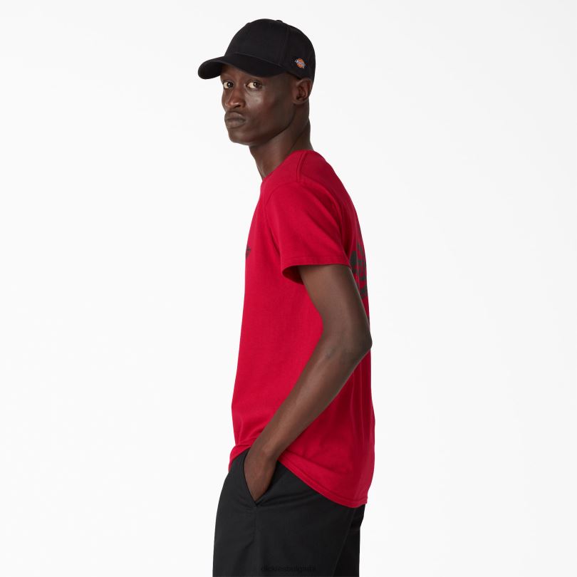 мъже Dickies наследствена графична тениска кардинал (ic) облекло R2PH8904