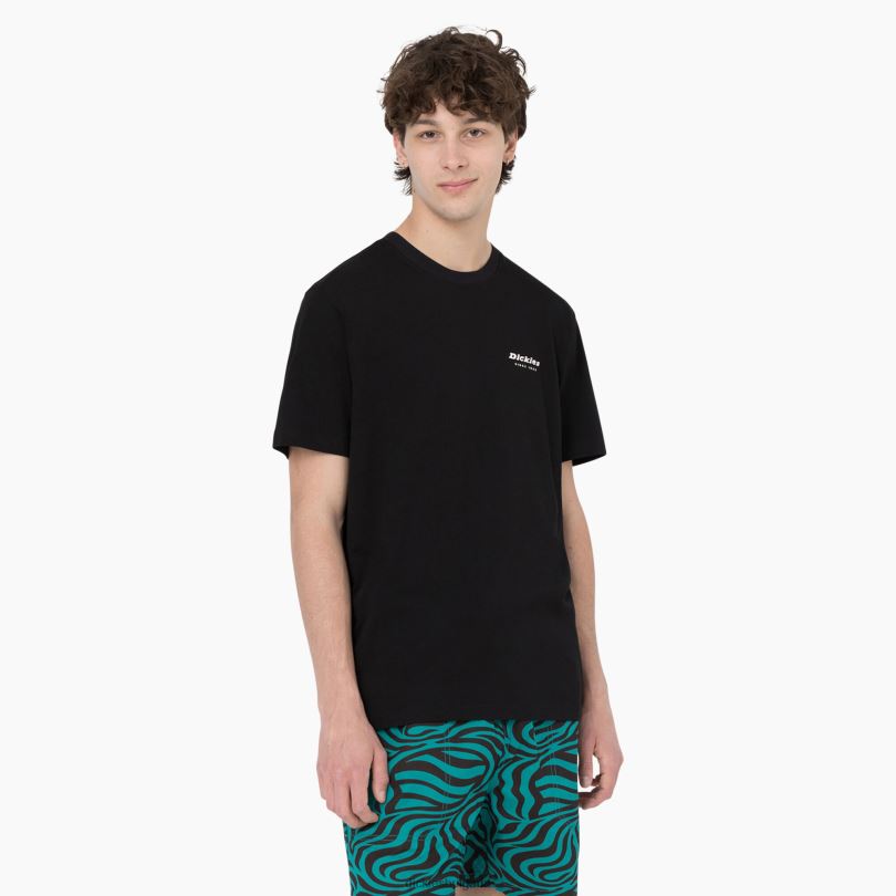 мъже Dickies тениска с къс ръкав leesburg черен (bkx) облекло R2PH8876