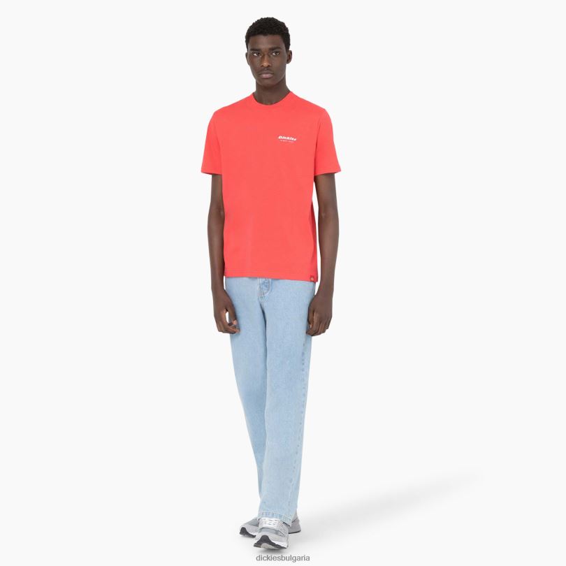 мъже Dickies тениска с къс ръкав leesburg горчиво (bw2) облекло R2PH8877