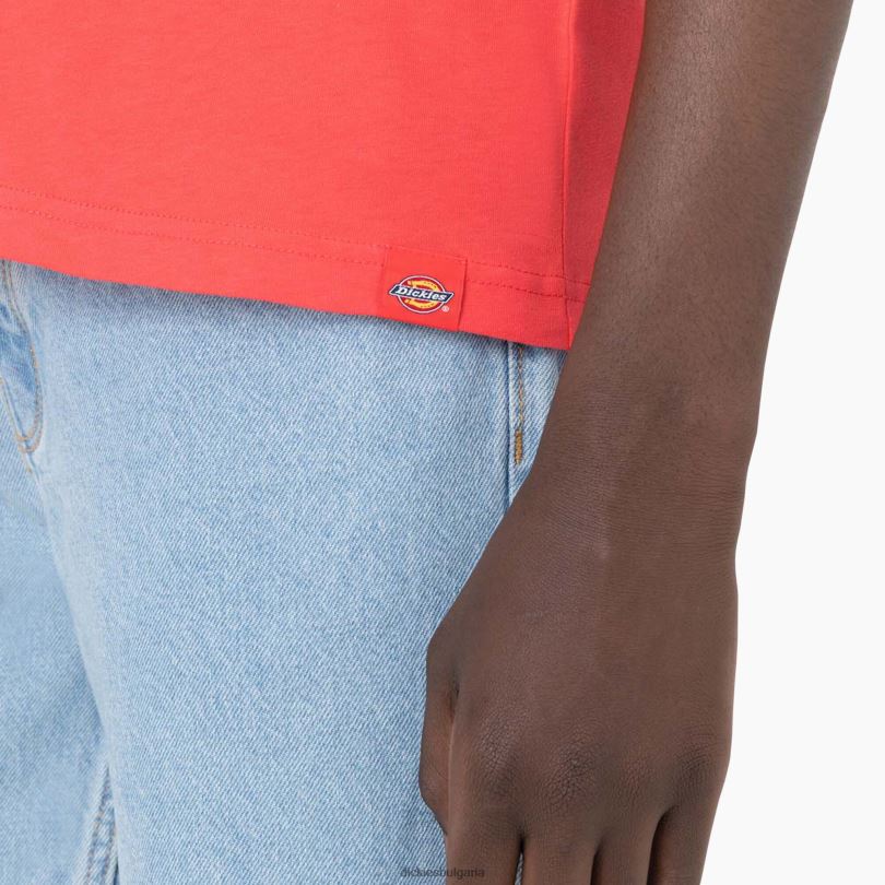 мъже Dickies тениска с къс ръкав leesburg горчиво (bw2) облекло R2PH8877