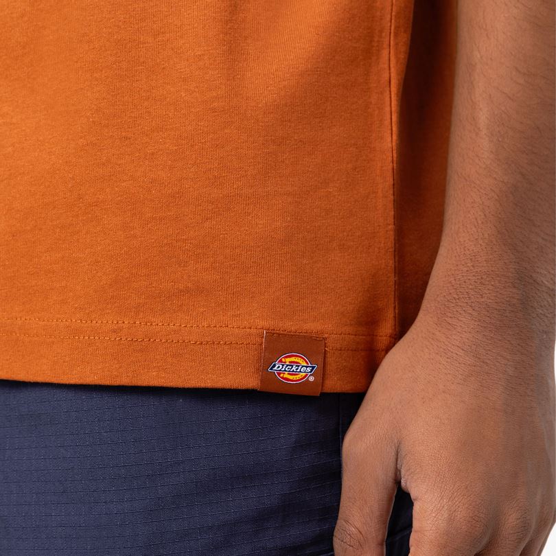 мъже Dickies тениска marbury с къс ръкав джинджифилово кафяво (т.е.) облекло R2PH8801