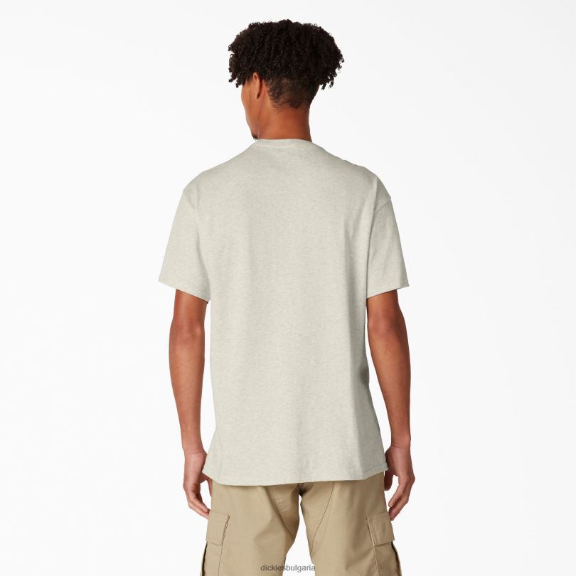 мъже Dickies тениска със скейтборд и графична тениска овесена каша хедър (oa) облекло R2PH8834