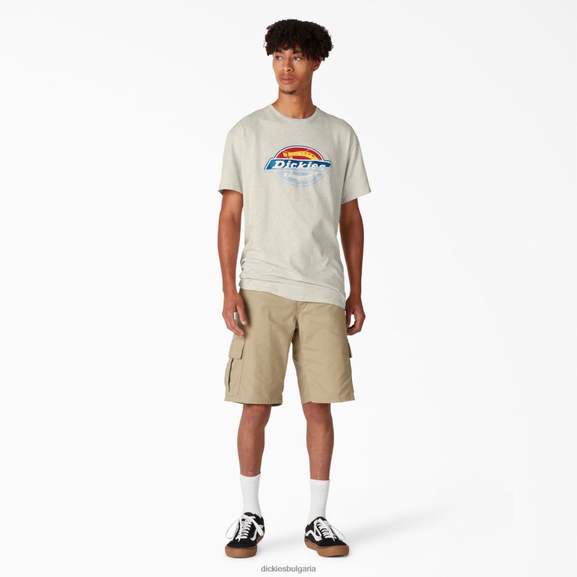 мъже Dickies тениска със скейтборд и графична тениска овесена каша хедър (oa) облекло R2PH8834