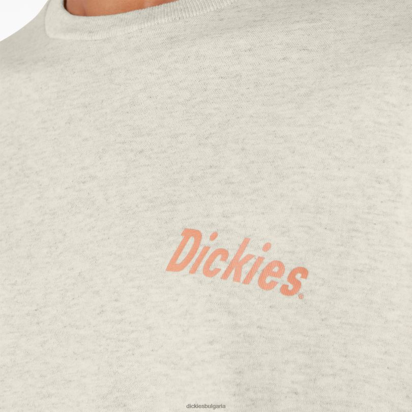 мъже Dickies скейтборд сплит тениска с графики овесена каша хедър (oa) облекло R2PH8852