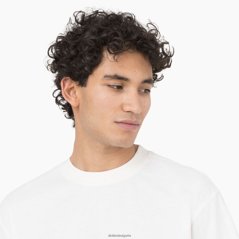 мъже Dickies тениска с къс ръкав oatfield облак (cl9) облекло R2PH8755