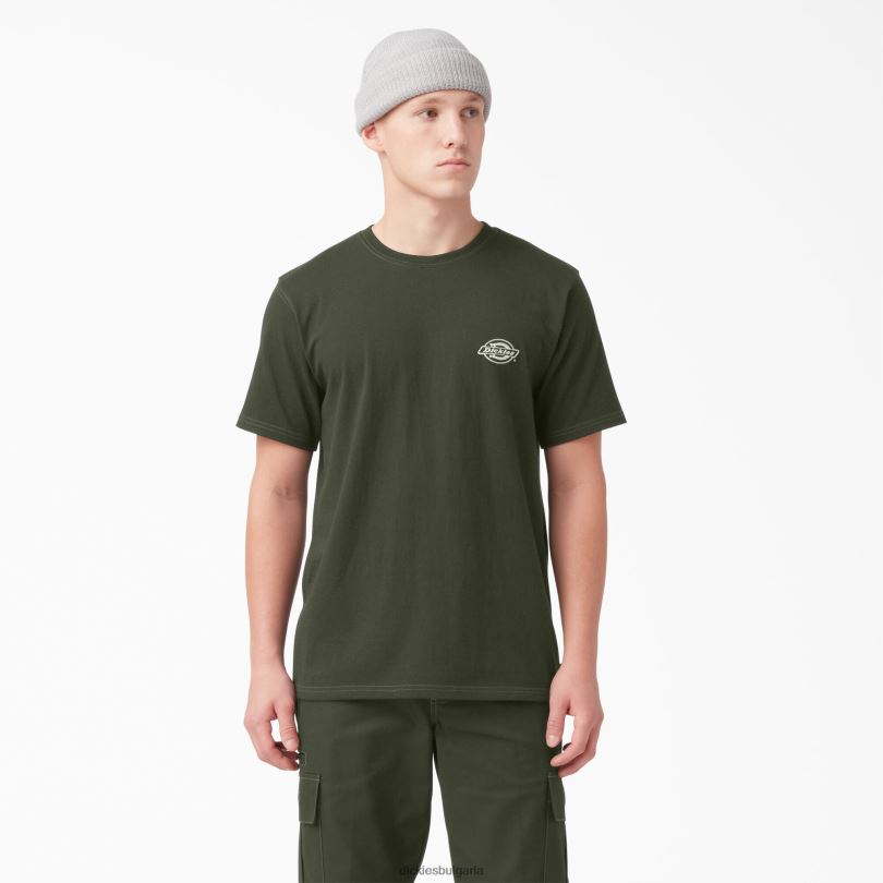 мъже Dickies тениска с графично лого на гърба маслинено зелено (og) облекло R2PH8750