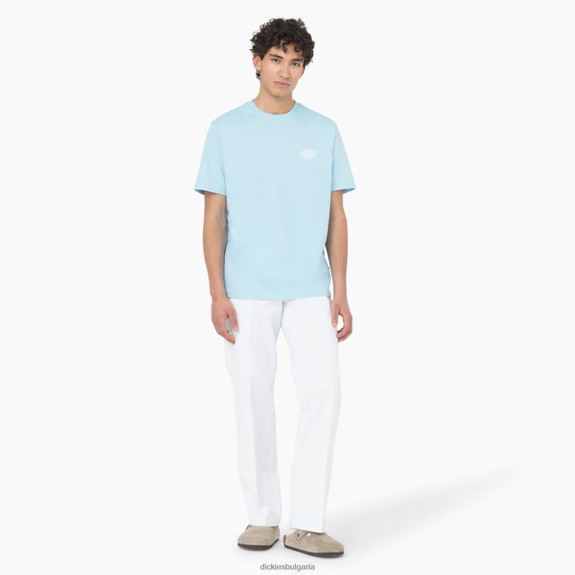 мъже Dickies тениска с графично лого на гърба небесно синьо (su9) облекло R2PH8751