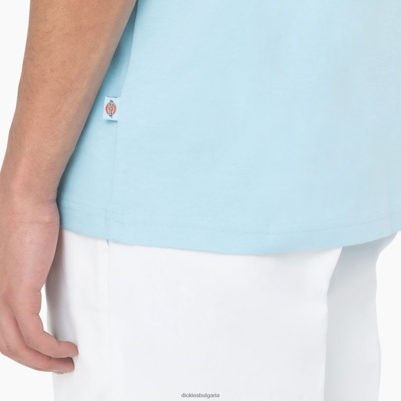 мъже Dickies тениска с графично лого на гърба небесно синьо (su9) облекло R2PH8751