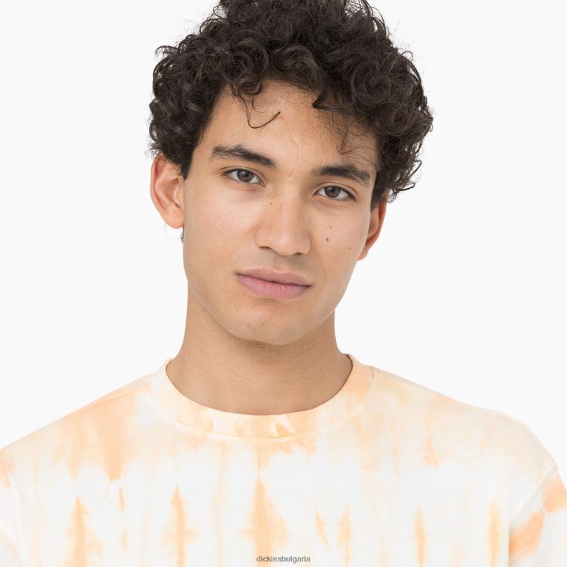 мъже Dickies тениска с къс ръкав westfir импала (ma2) облекло R2PH8589