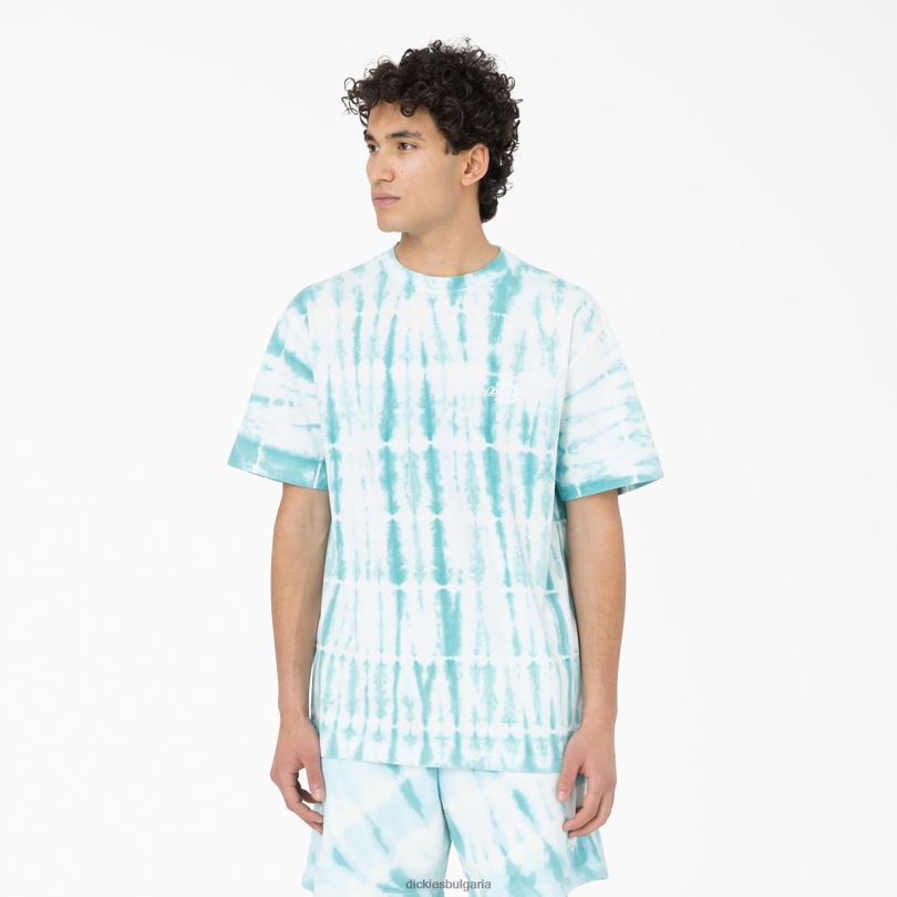 мъже Dickies тениска с къс ръкав westfir небесно синьо (su9) облекло R2PH8590