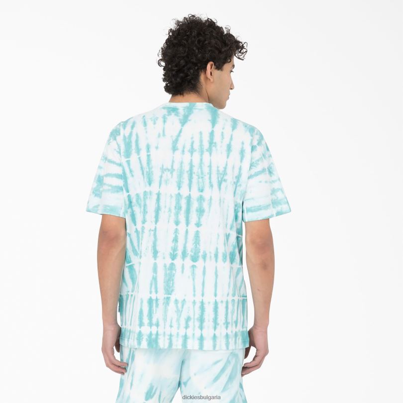 мъже Dickies тениска с къс ръкав westfir небесно синьо (su9) облекло R2PH8590