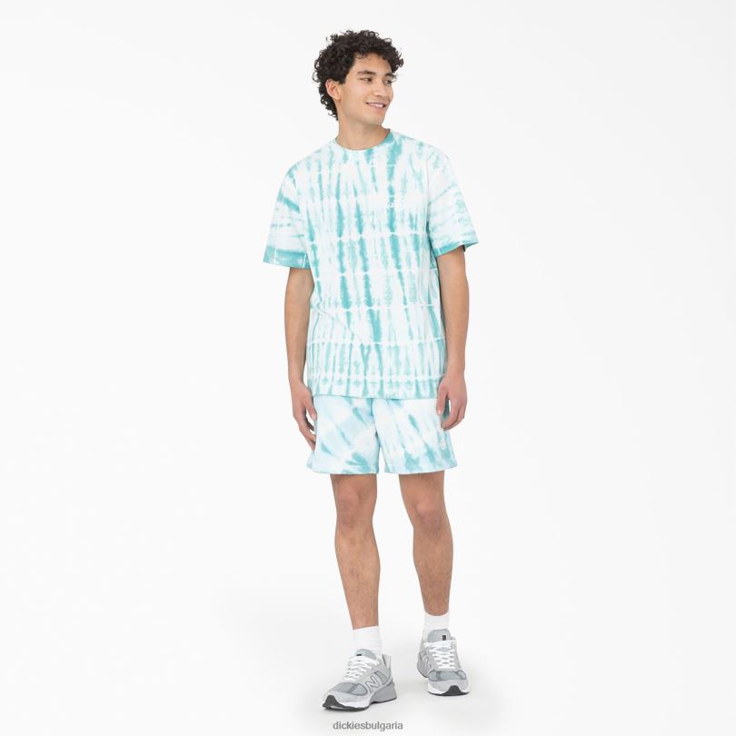 мъже Dickies тениска с къс ръкав westfir небесно синьо (su9) облекло R2PH8590