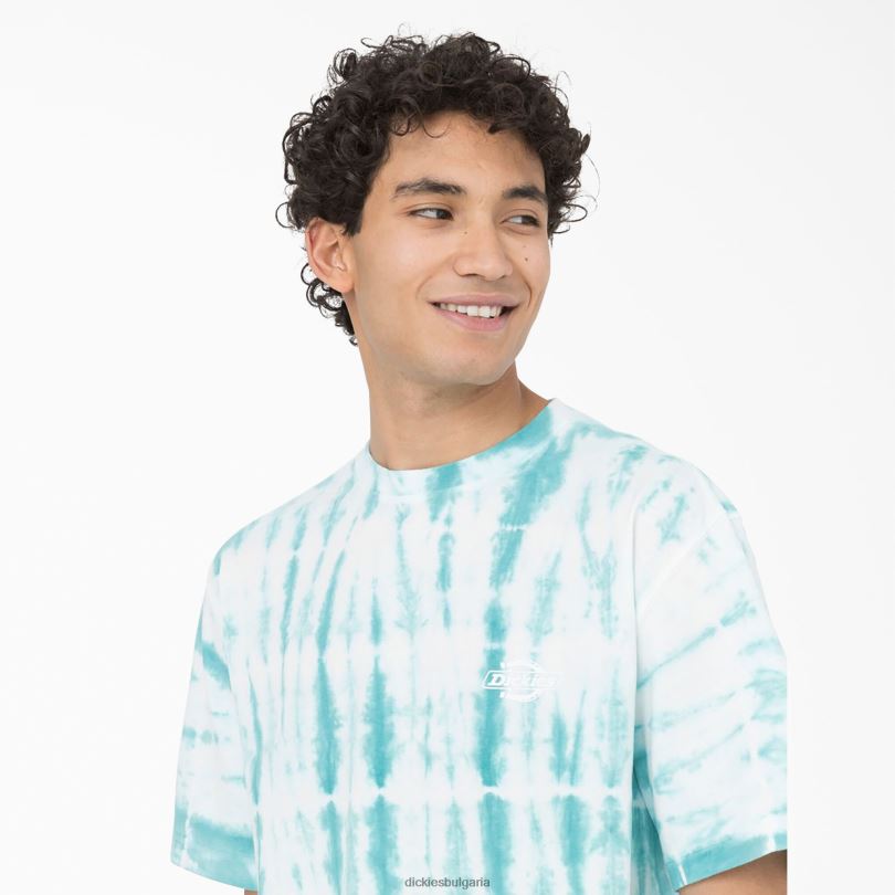 мъже Dickies тениска с къс ръкав westfir небесно синьо (su9) облекло R2PH8590