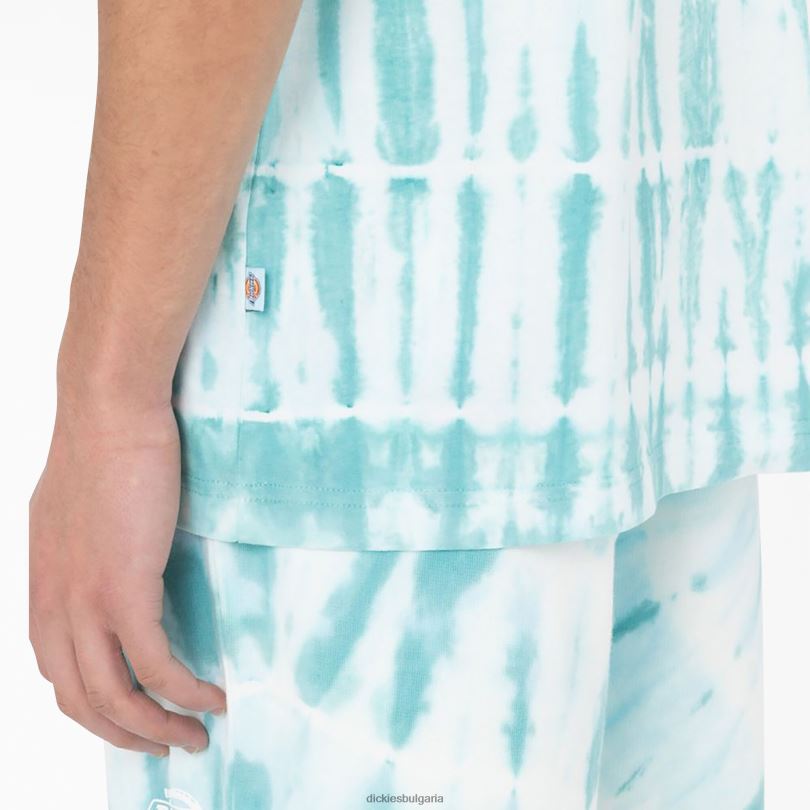 мъже Dickies тениска с къс ръкав westfir небесно синьо (su9) облекло R2PH8590