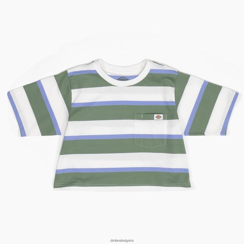 Жени Dickies изрязана тениска на райета бяло/зелено колегиално райе (wse) облекло R2PH82015