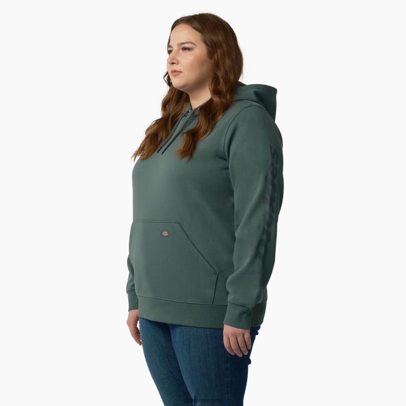 Жени Dickies плюс тежък пуловер с ръкави с лого линкълн грийн (лн) облекло R2PH82348