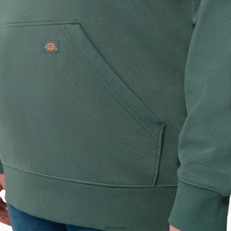 Жени Dickies плюс тежък пуловер с ръкави с лого линкълн грийн (лн) облекло R2PH82348
